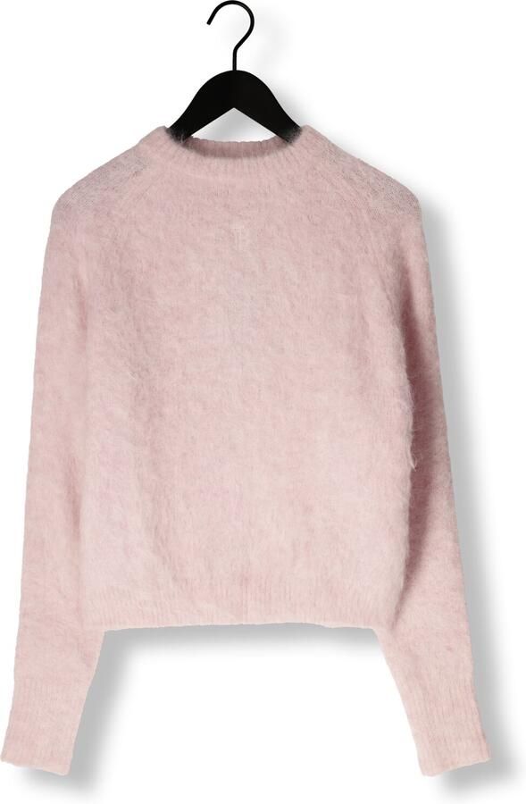 IBANA Dames Truien & Vesten Konia Lichtroze - Foto 3