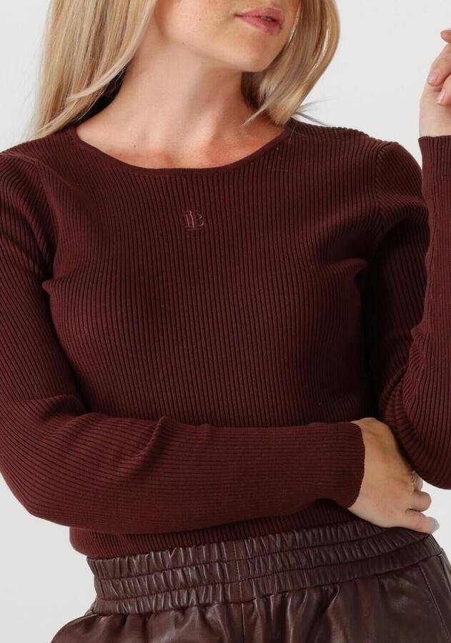 IBANA Dames Truien & Vesten Tamora Longsleeve Bruin
