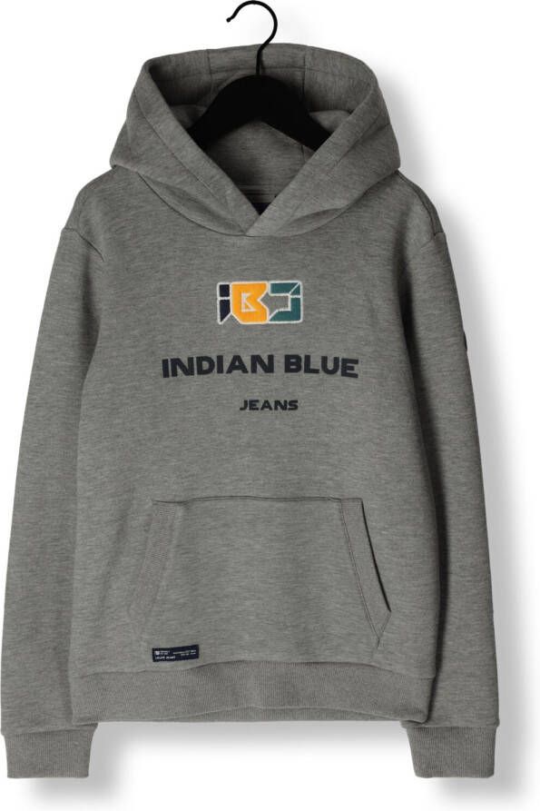 Indian Blue Jeans Grijze Trui Hoodie Ibj Pique Scuba