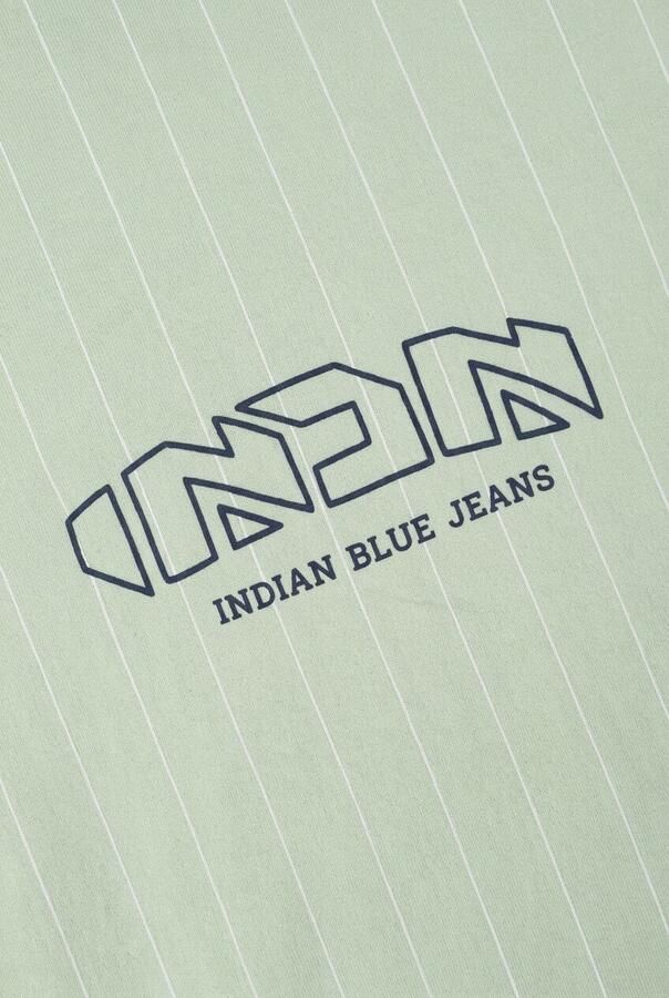 INDIAN BLUE JEANS Jongens Polo's & T-shirts Loose Fit T-shirt Pinstripe Mint