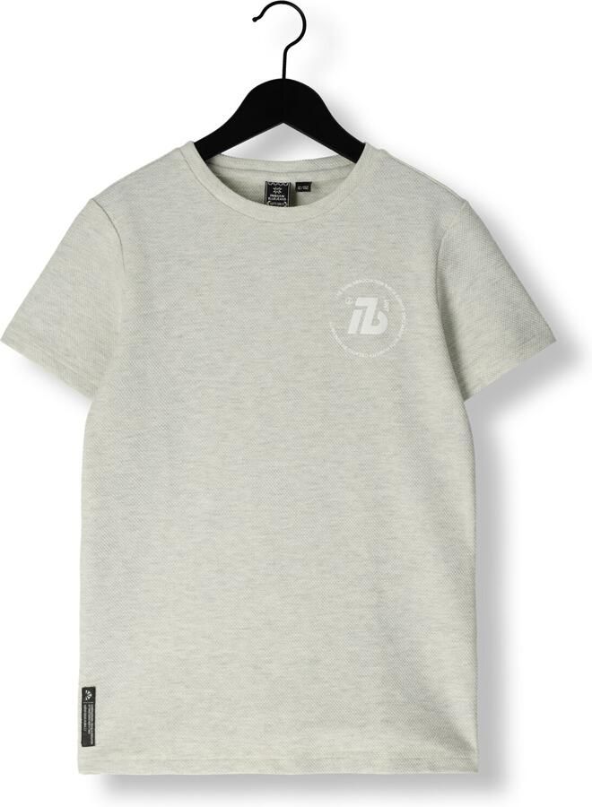 INDIAN BLUE JEANS Jongens Polo's & T-shirts T-shirt Fancy Pique Ib Lichtgrijs - Foto 2