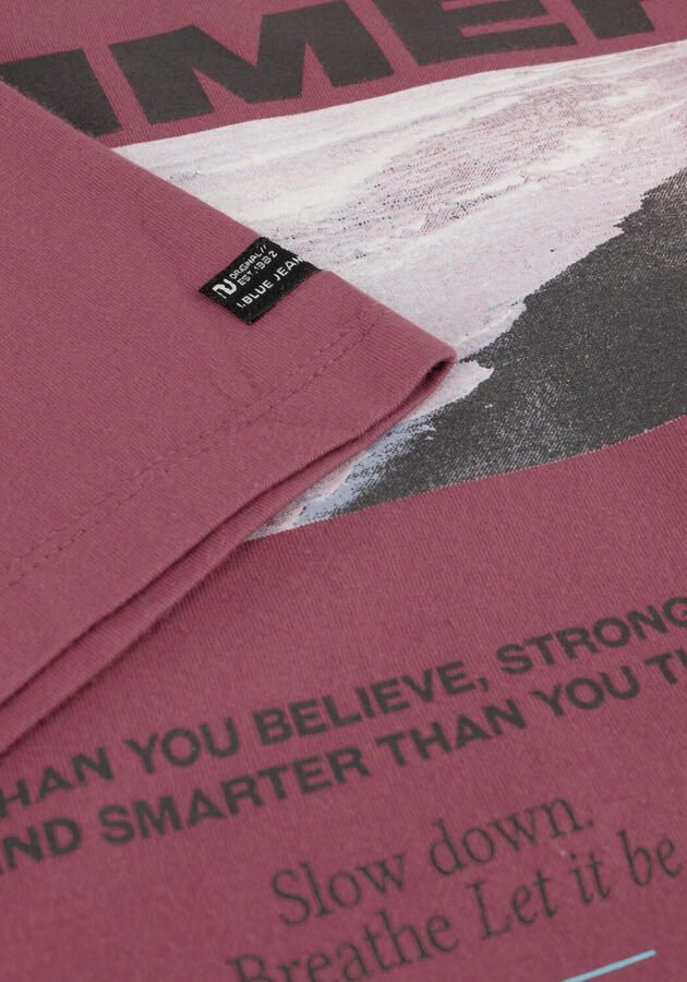 INDIAN BLUE JEANS Jongens Polo's & T-shirts T-shirt Ibjns Roze