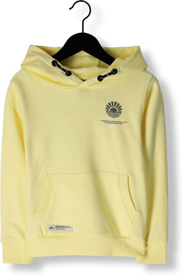INDIAN BLUE JEANS Jongens Truien & Vesten Hoodie Backprint Geel - Foto 3