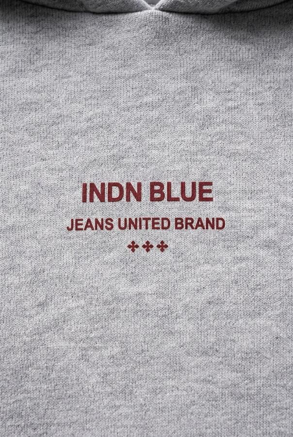 INDIAN BLUE JEANS Jongens Truien & Vesten Hoodie Chest And Backprint Lichtgrijs