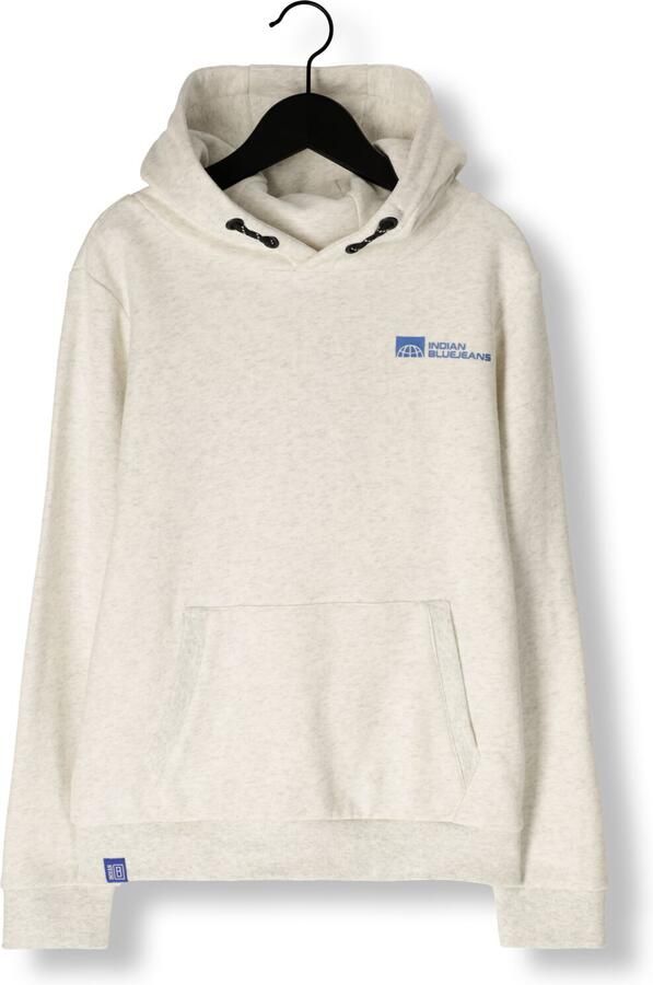 INDIAN BLUE JEANS Jongens Truien & Vesten Hoodie Limited Apparel Lichtgrijs - Foto 3