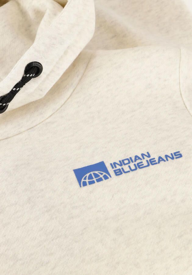 INDIAN BLUE JEANS Jongens Truien & Vesten Hoodie Limited Apparel Lichtgrijs