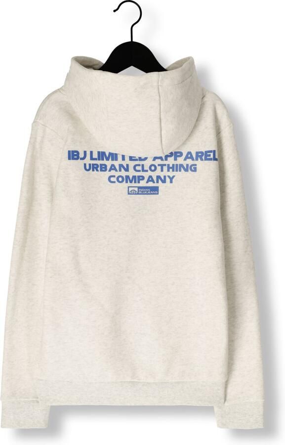 INDIAN BLUE JEANS Jongens Truien & Vesten Hoodie Limited Apparel Lichtgrijs - Foto 2