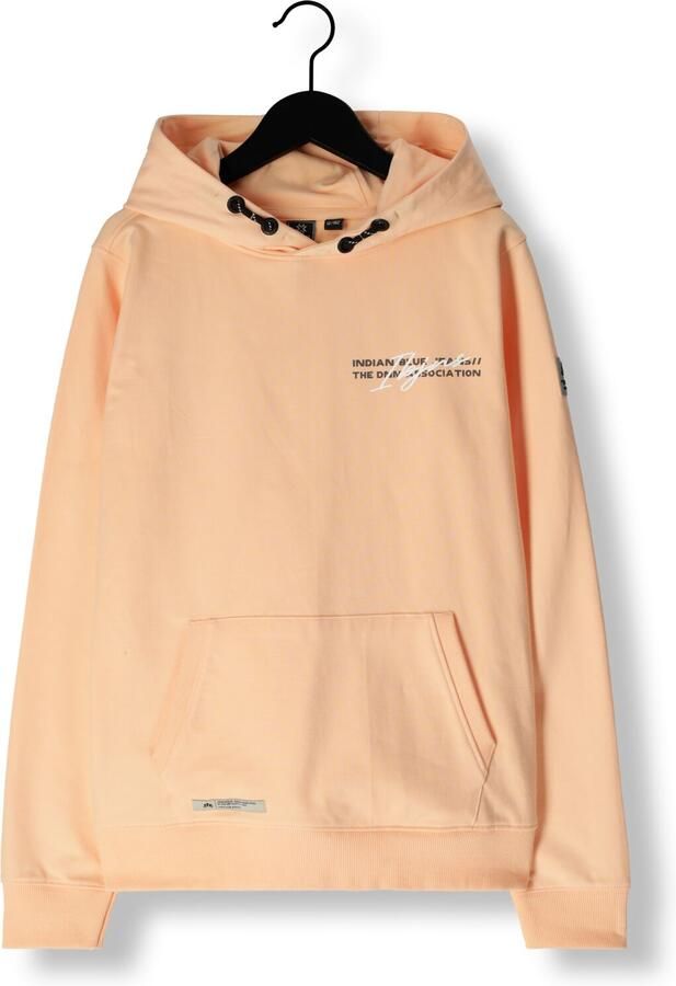 INDIAN BLUE JEANS Jongens Truien & Vesten Hoodie Print Oranje - Foto 3