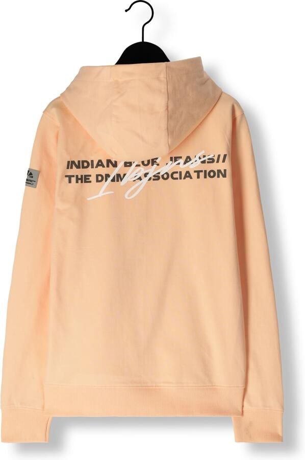 INDIAN BLUE JEANS Jongens Truien & Vesten Hoodie Print Oranje - Foto 2
