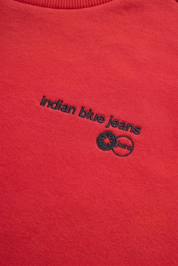 INDIAN BLUE JEANS Jongens Truien & Vesten Loose Fit Sweat Indian Rood