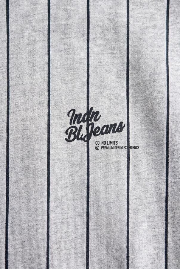 Indian Blue Jeans oversized gestreepte sweater met backprint grijs Backprint - Foto 2