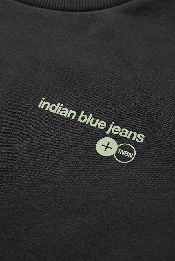 INDIAN BLUE JEANS Jongens Truien & Vesten Sweater Chest And Backprint Donkergrijs
