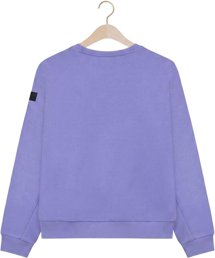 INDIAN BLUE JEANS Jongens Truien & Vesten Sweater Indian Chestprint Paars - Foto 2