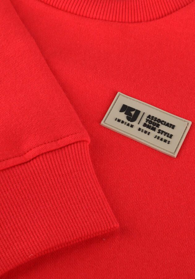 INDIAN BLUE JEANS Jongens Truien & Vesten Sweater Print Sleeve Rood - Foto 3