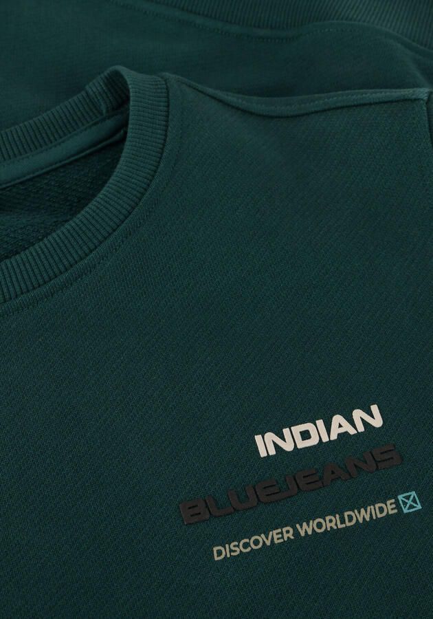 INDIAN BLUE JEANS Meisjes Truien & Vesten Loose Fit Sweat Backprint Donkergroen