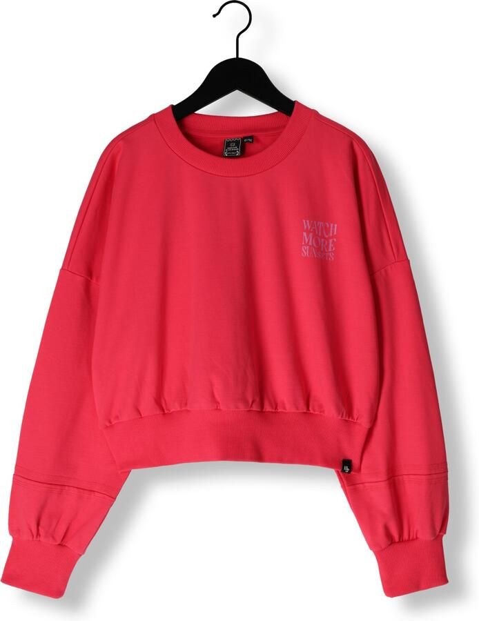 INDIAN BLUE JEANS Meisjes Truien & Vesten Loose Fit Sweat Backprint Roze - Foto 2