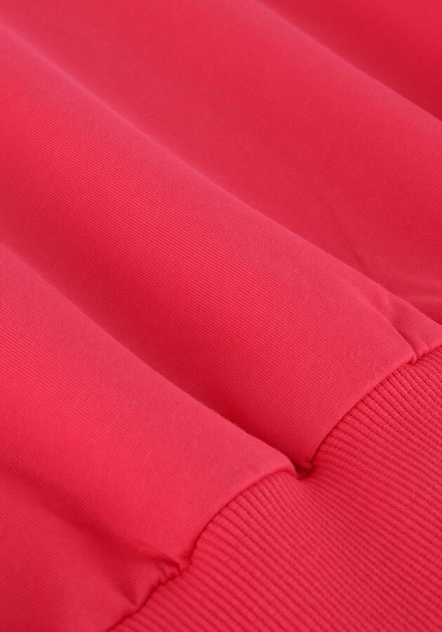 INDIAN BLUE JEANS Meisjes Truien & Vesten Loose Fit Sweat Backprint Roze