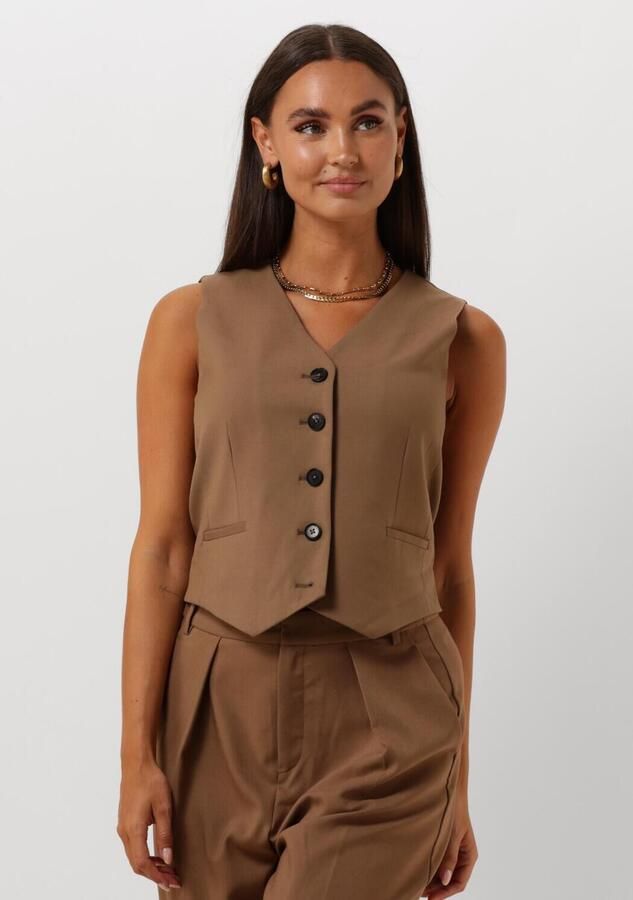 InWear Klassieke Vest met V-Hals en Knopen Brown Dames - Foto 4