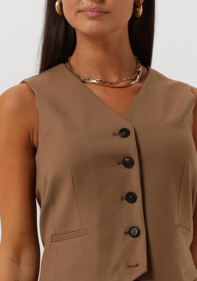 InWear Klassieke Vest met V-Hals en Knopen Brown Dames - Foto 2