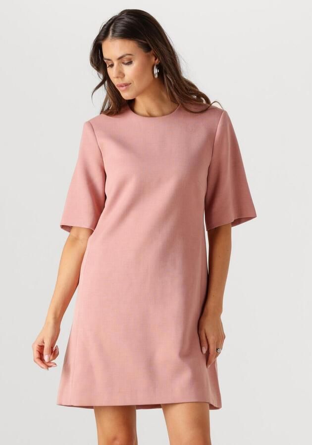 INWEAR Dames Jurken Hollyniw Dress Roze