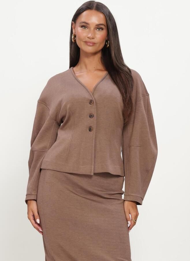 INWEAR Dames Truien & Vesten Fariiw Vincentiw Mel Jacket Bruin