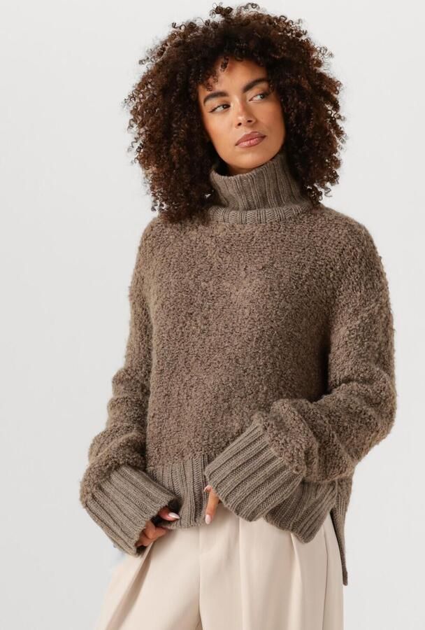 INWEAR Dames Truien & Vesten Guoiw Highneck Bruin - Foto 4