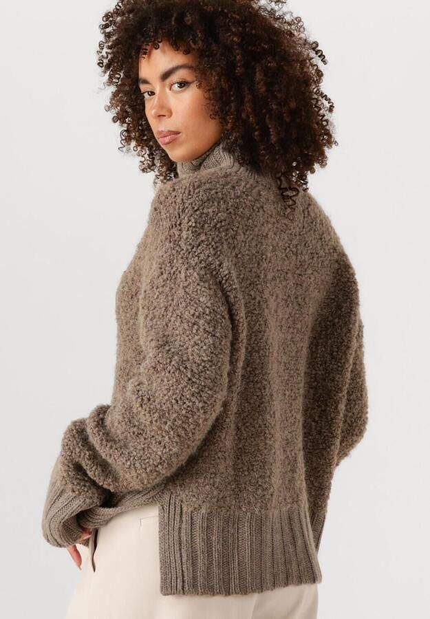 INWEAR Dames Truien & Vesten Guoiw Highneck Bruin - Foto 2