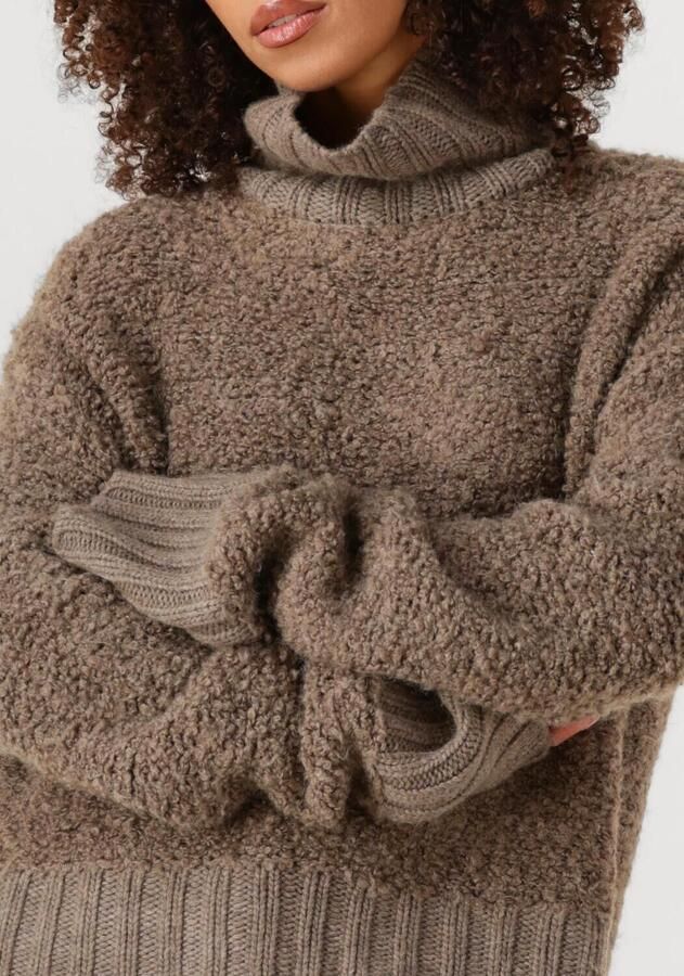 INWEAR Dames Truien & Vesten Guoiw Highneck Bruin