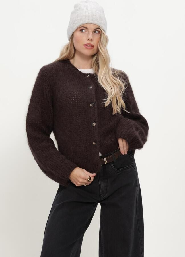 INWEAR Dames Truien & Vesten Jetraiw Cardigan Bruin