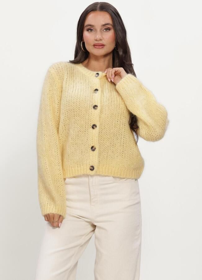 INWEAR Dames Truien & Vesten Jetraiw Cardigan Geel