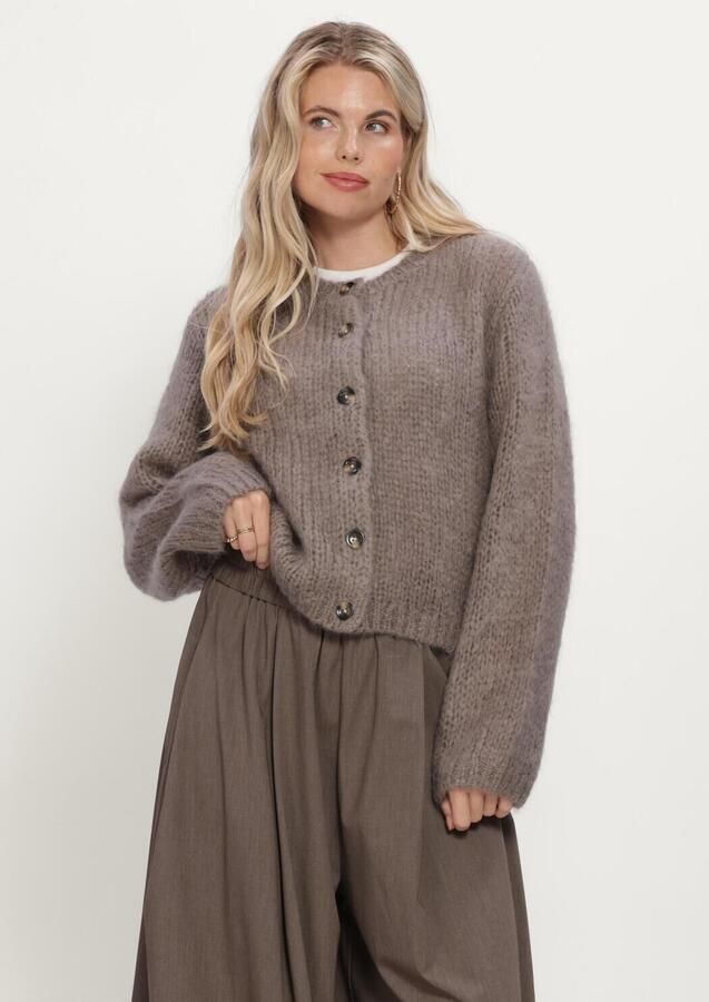 INWEAR Dames Truien & Vesten Jetraiw Cardigan Taupe