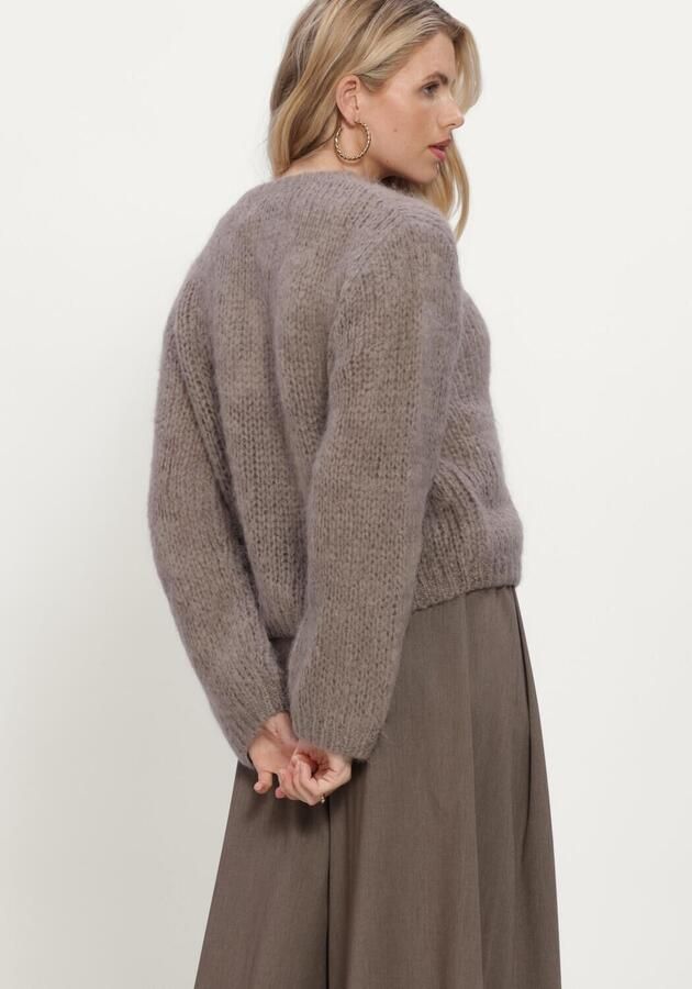 INWEAR Dames Truien & Vesten Jetraiw Cardigan Taupe - Foto 3