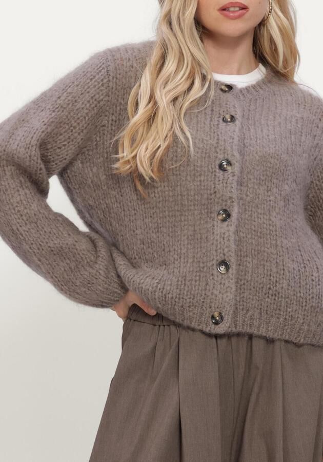 INWEAR Dames Truien & Vesten Jetraiw Cardigan Taupe - Foto 4