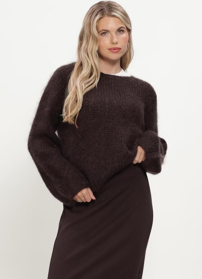 INWEAR Dames Truien & Vesten Jetraiw Pullover Bruin