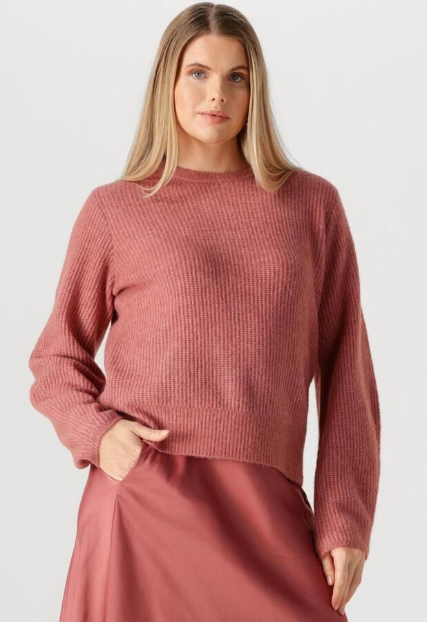INWEAR Dames Truien & Vesten Niasiw Pullover Roze