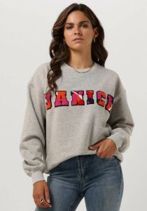 Janice Grijze Trui Sweater Dames Andy Logo