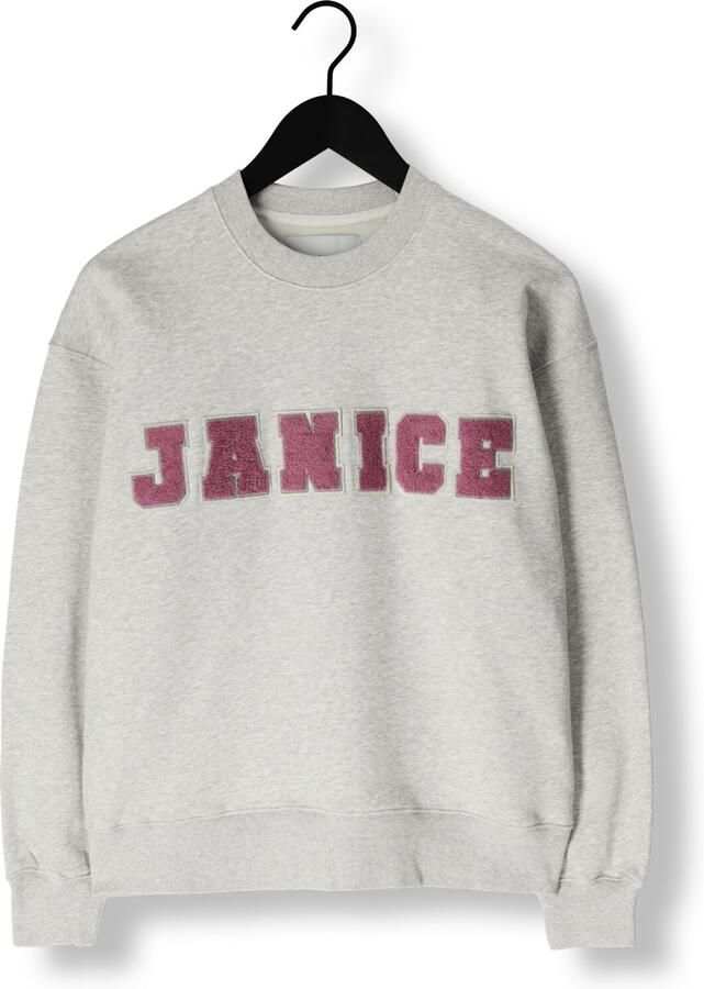 JANICE Dames Truien & Vesten Andy Grijs