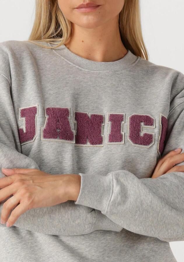 JANICE Dames Truien & Vesten Andy Grijs - Foto 2