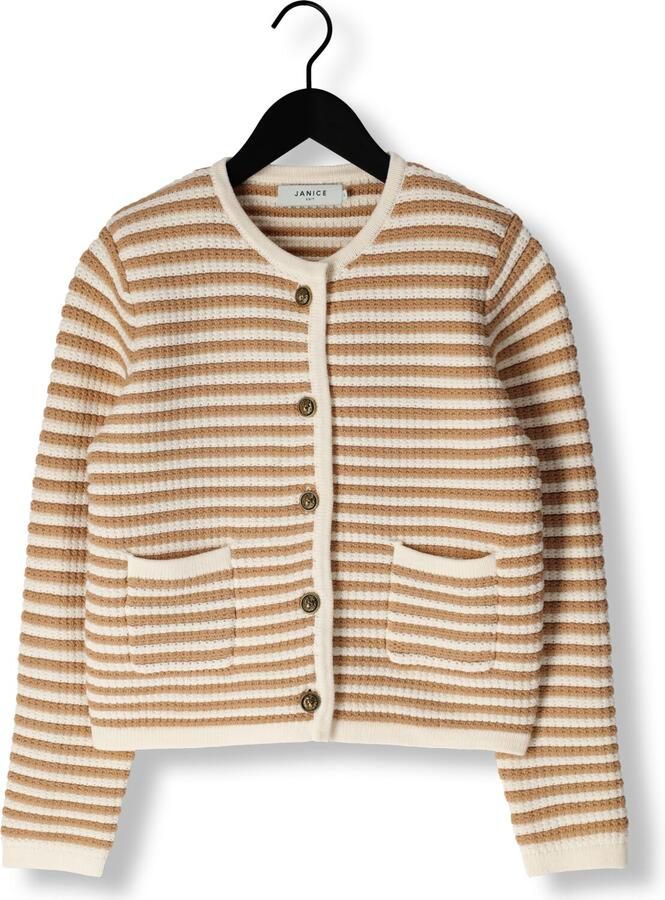 JANICE Dames Truien & Vesten Jimm Beige