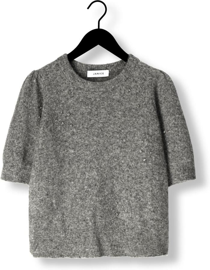 JANICE Dames Truien & Vesten Payton Stones Grijs