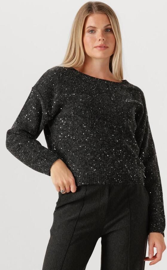 JANSEN AMSTERDAM Dames Truien & Vesten Anouk Trui Hk 151 Round Neckline Donkergrijs - Foto 4