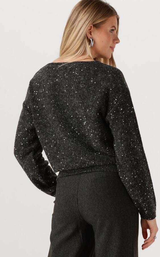 JANSEN AMSTERDAM Dames Truien & Vesten Anouk Trui Hk 151 Round Neckline Donkergrijs - Foto 3