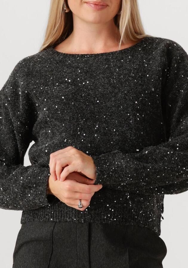 JANSEN AMSTERDAM Dames Truien & Vesten Anouk Trui Hk 151 Round Neckline Donkergrijs - Foto 2