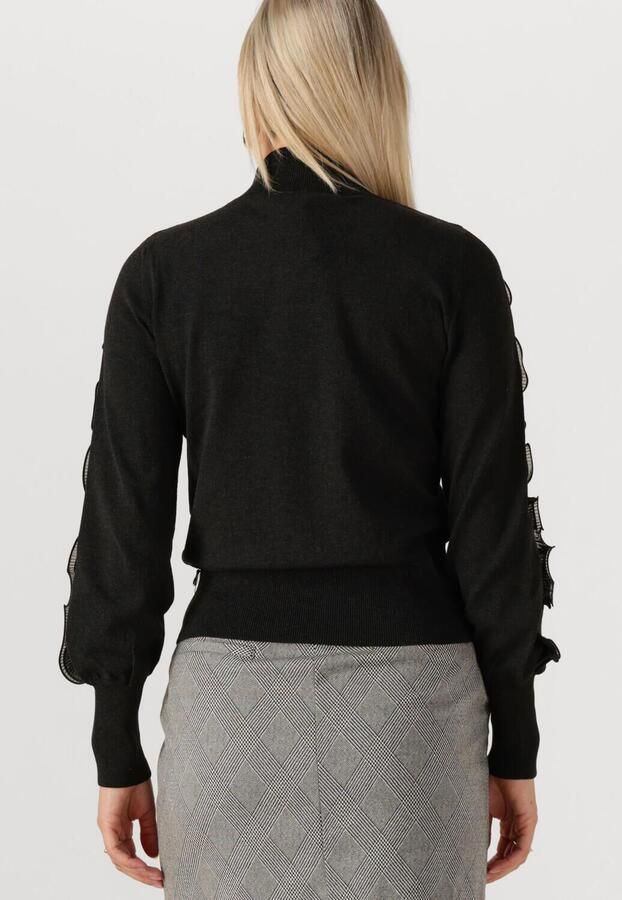 JANSEN AMSTERDAM Dames Truien & Vesten Barbara Trui Fn 155 Long Sleeve Plisse Ruffles Zwart - Foto 2