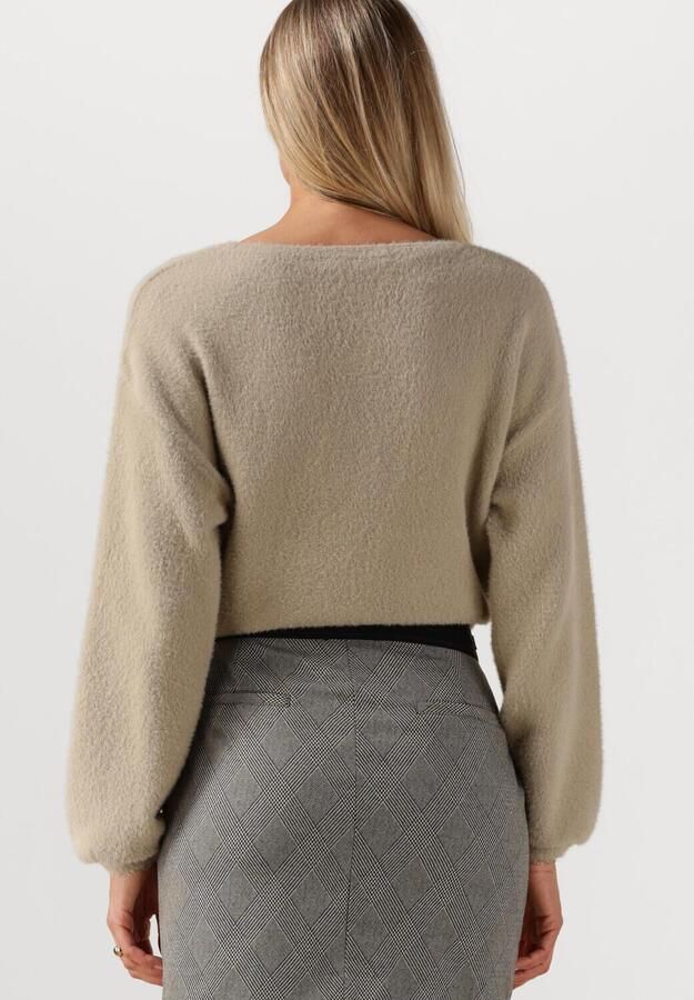 JANSEN AMSTERDAM Dames Truien & Vesten Caily Trui P 150 Round Neckline Beige - Foto 3
