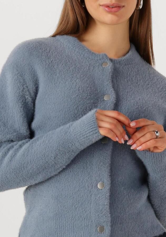 JANSEN AMSTERDAM Dames Truien & Vesten Cloe Vest P 205 Pressbuttons Lichtblauw - Foto 2