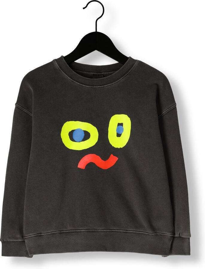 Jelly Mallow Jongens Truien & Vesten Catchy Face Pigment Sweatshirt Antraciet - Foto 3