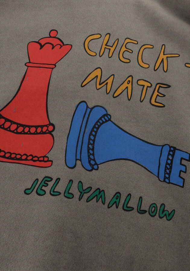 Jelly Mallow Jongens Truien & Vesten Check Mate Pignment Sweatshirt Khaki - Foto 3