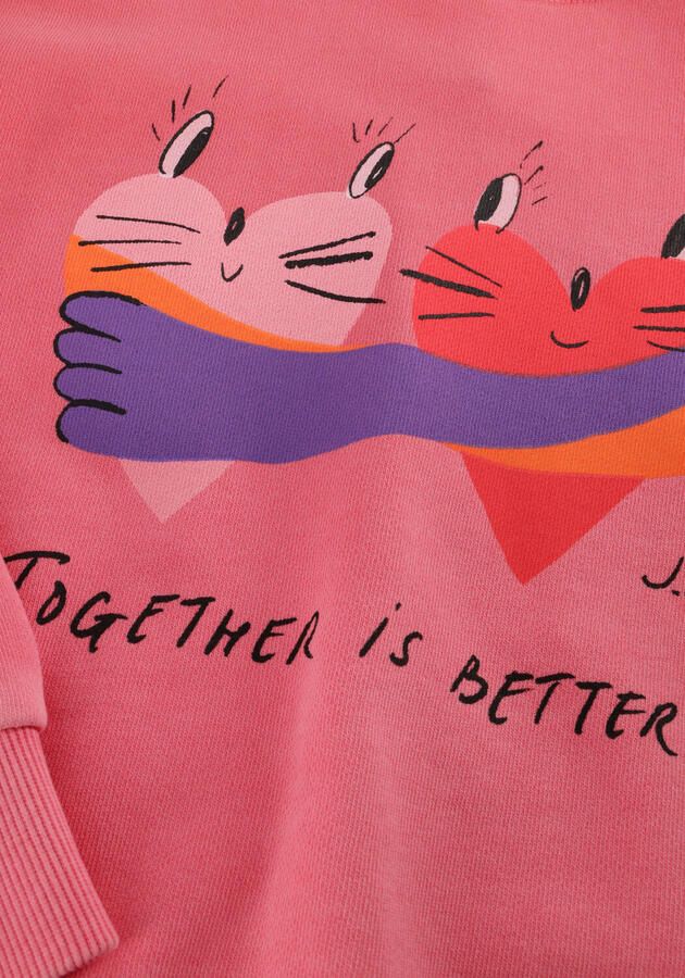 Jelly Mallow Meisjes Truien & Vesten Together Pigment Ruffled Sweatshirt Roze