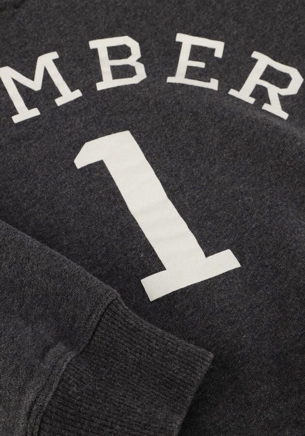 JENEST Jongens Truien & Vesten Bird N1 Sweater Donkergrijs